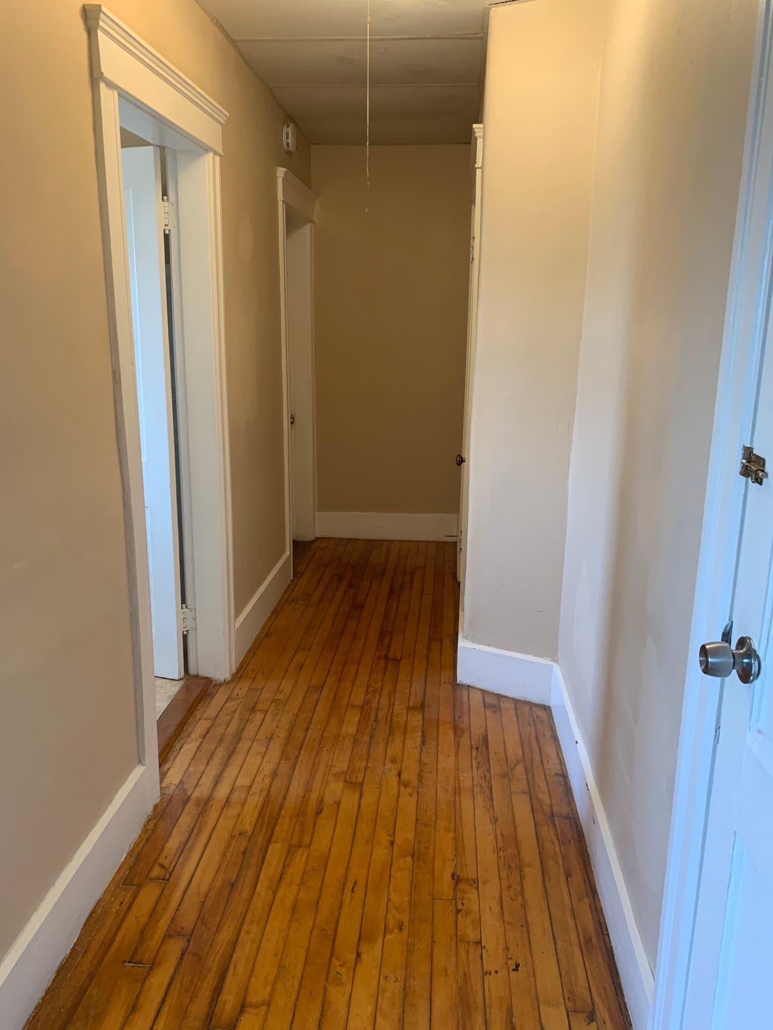 Webster Apartment: 3 Negus Street #2L