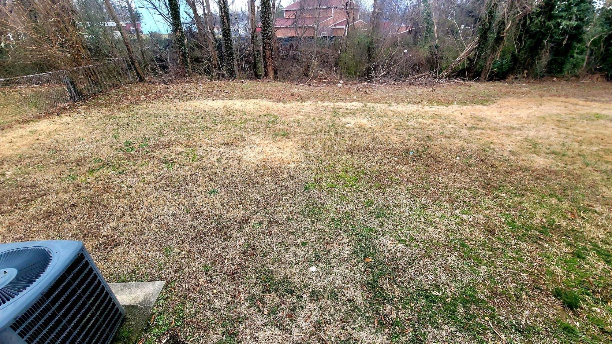 Petersburg Townhome: 1516 W Clara St