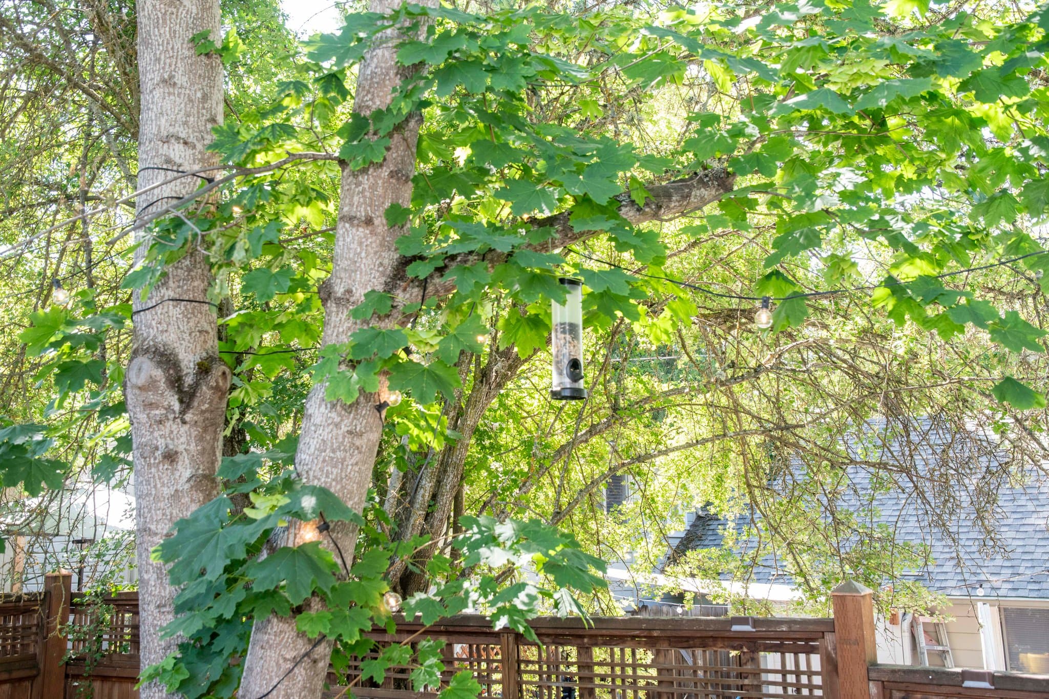 Ashland House: 673 Siskiyou