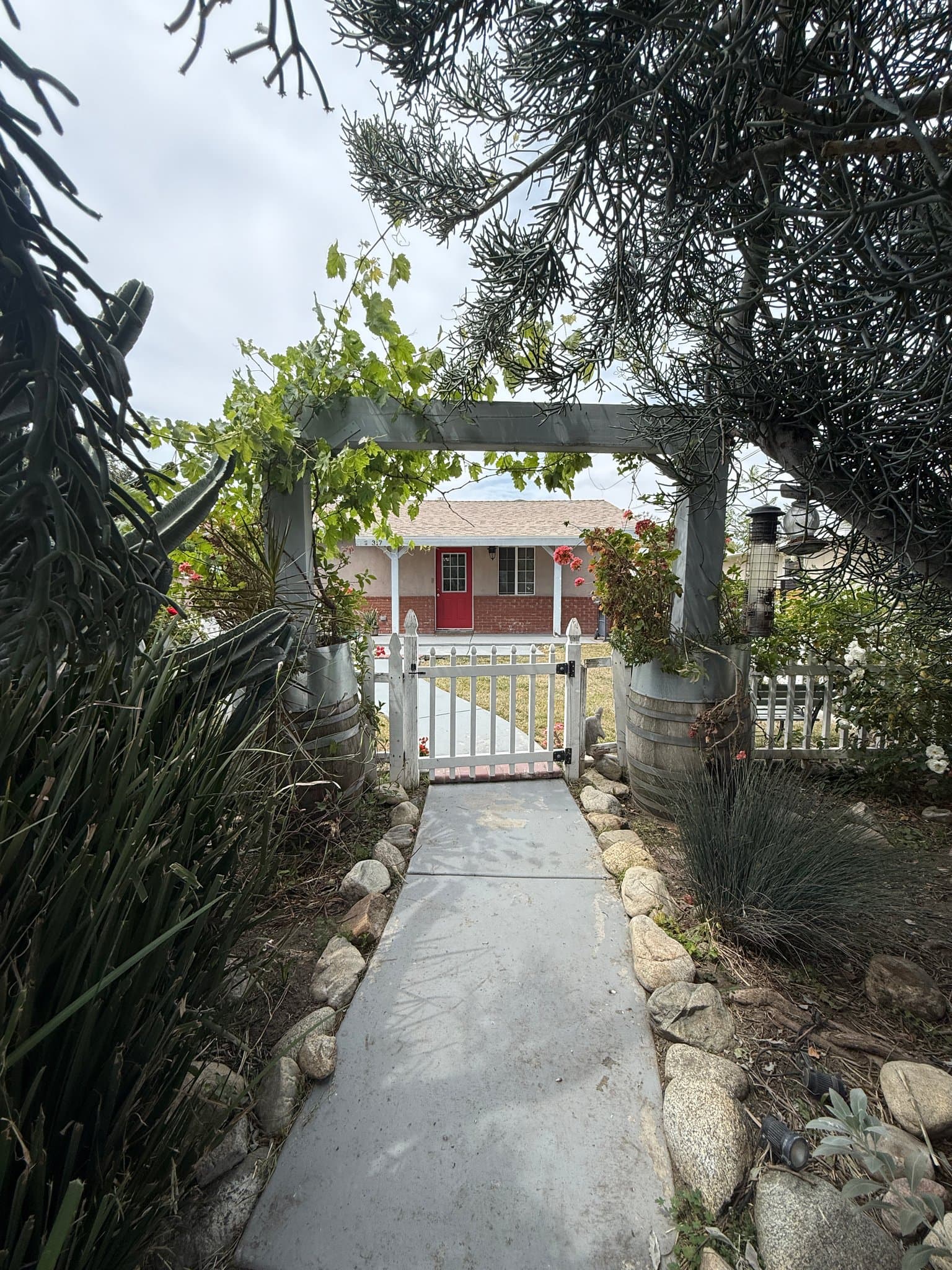 Claremont Single Room: 317 W Green St