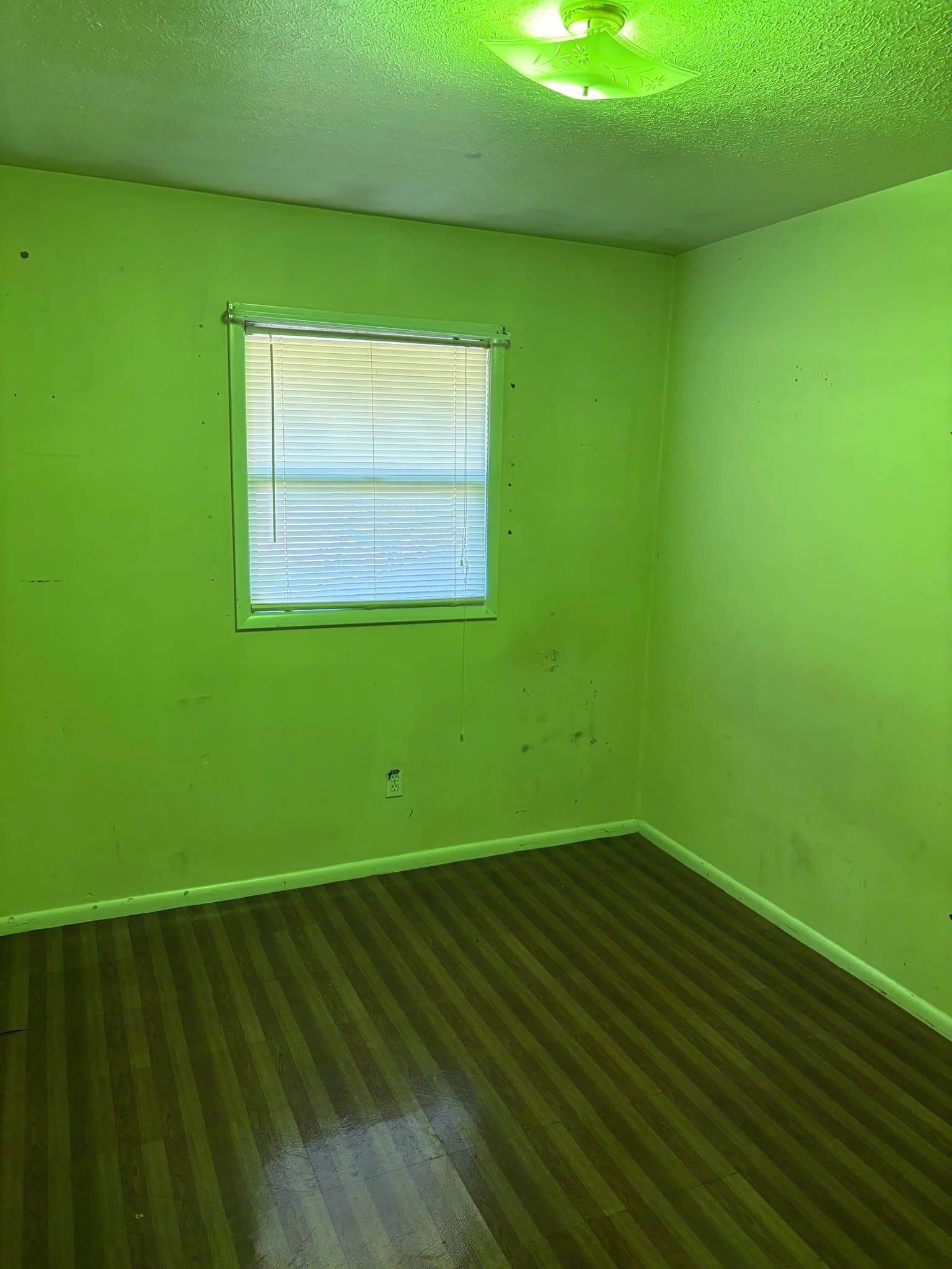 Jackson House: 1546 David Drive