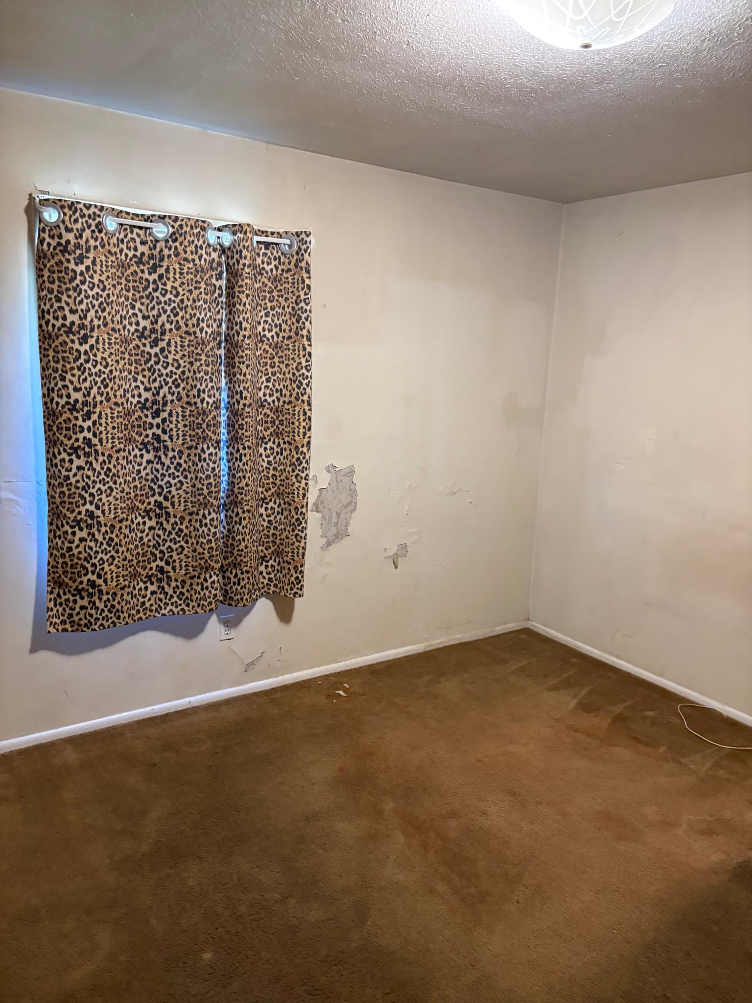 Jackson House: 1546 David Drive