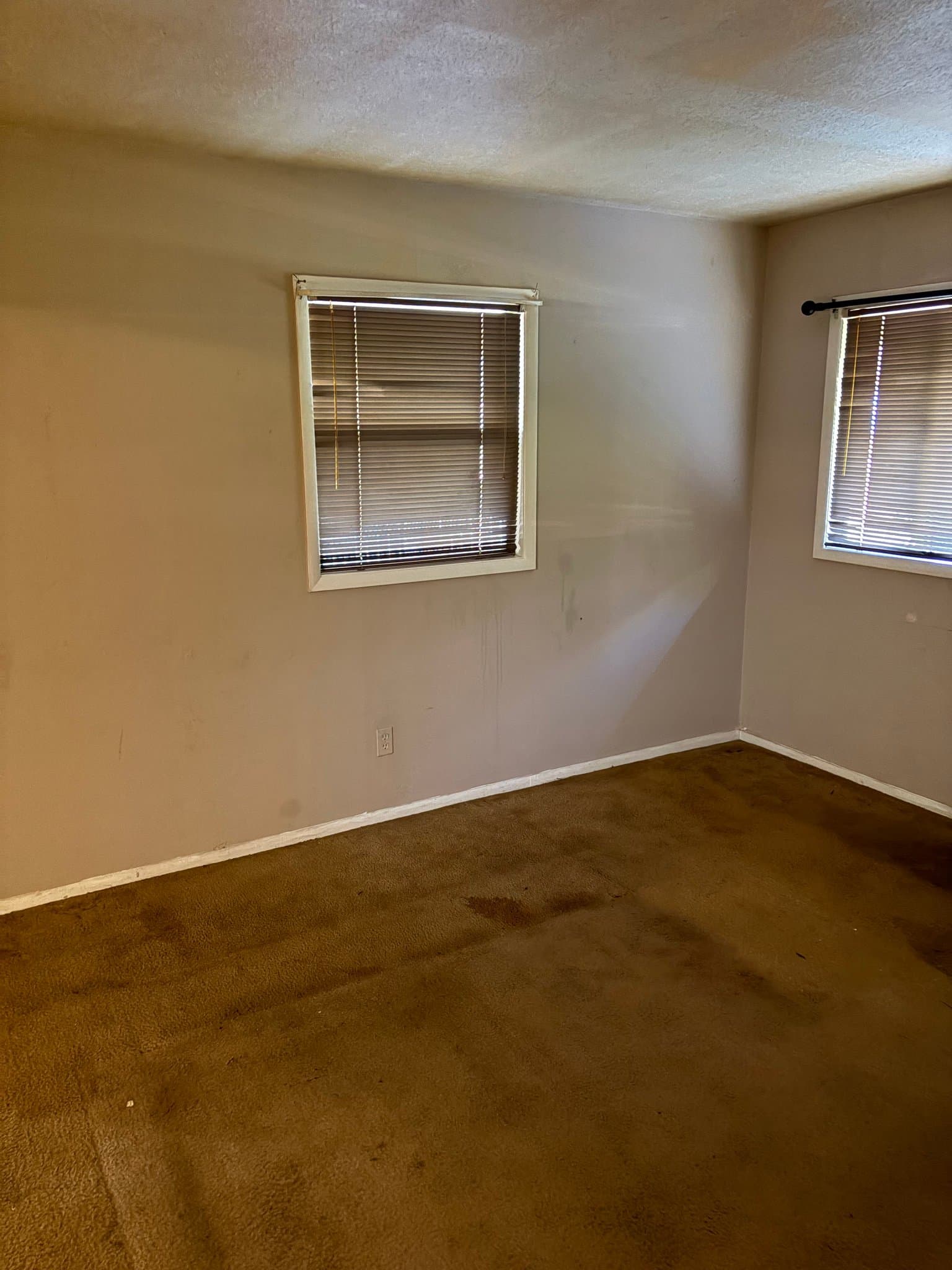 Jackson House: 1546 David Drive
