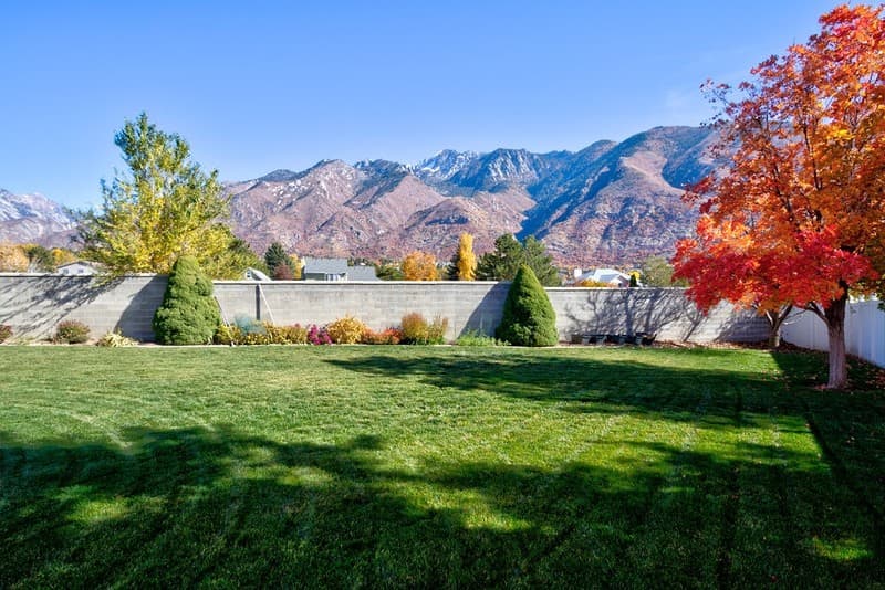 Sandy House: 11567 S Lexington Hills Cir