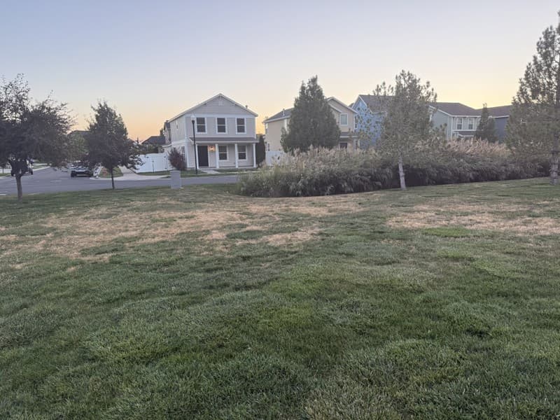 Farmington House: 1427 W South Paddock Dr