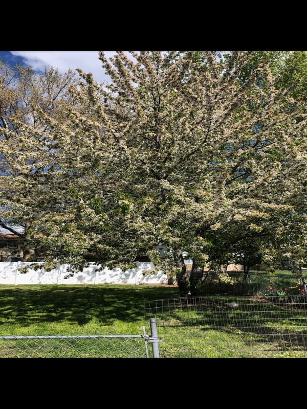 Roy House: 4876 S 2875 W