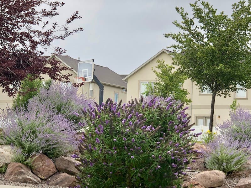 South Jordan Townhome: 10828 S Wynview Ln