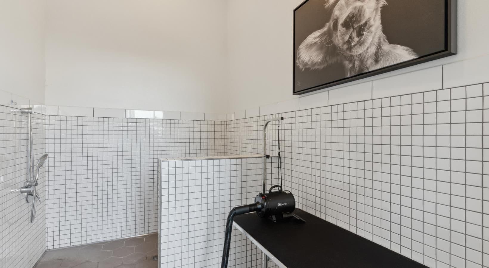Fort Worth Apartment: 5400 Huffines Blvd