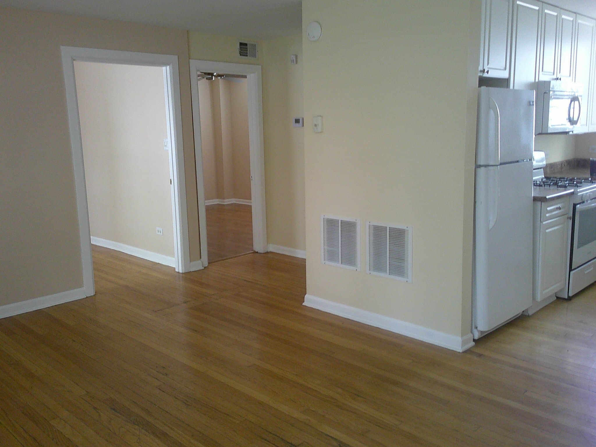 Chicago Apartment: 4738 W George St. 1W