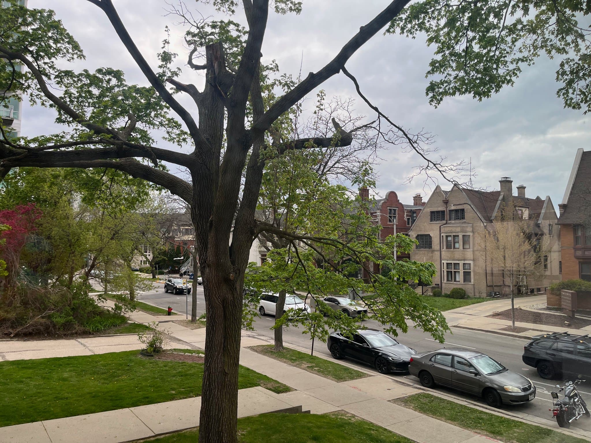 Milwaukee Apartment: 1560 N Prospect