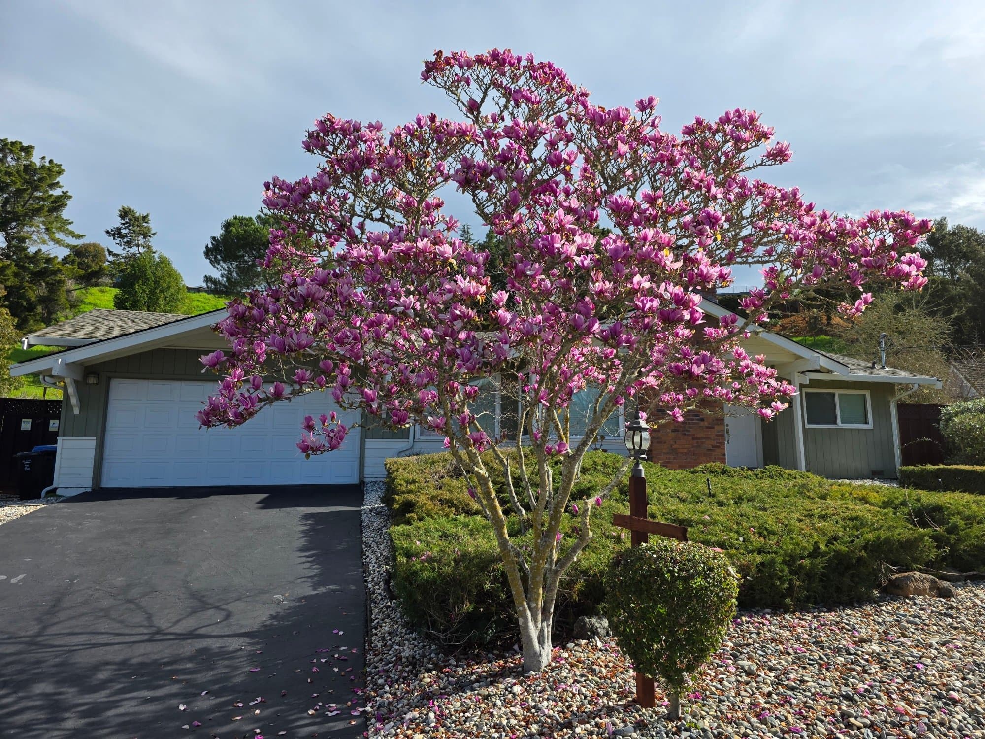 Moraga House: 29 Thorndale Pl