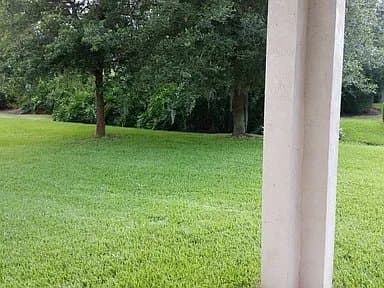 Wesley Chapel House: 2405 Silvermoss Dr