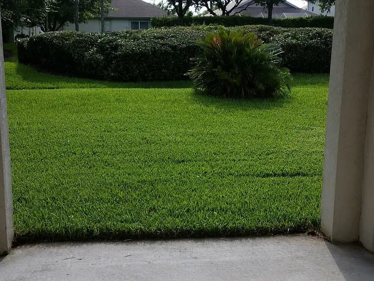 Wesley Chapel House: 2405 Silvermoss Dr