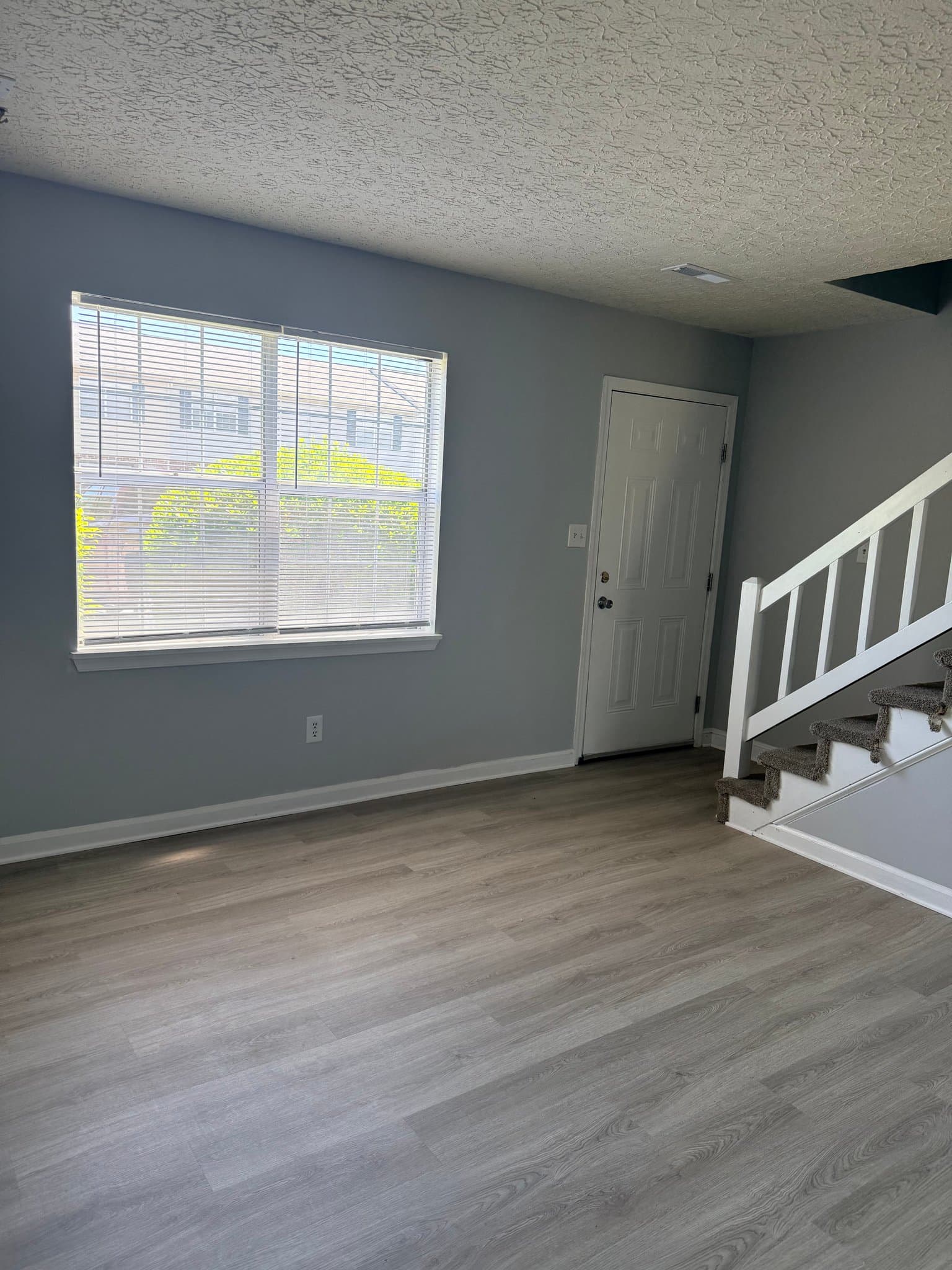 Lynchburg Townhome: 57 Ferguson Dr