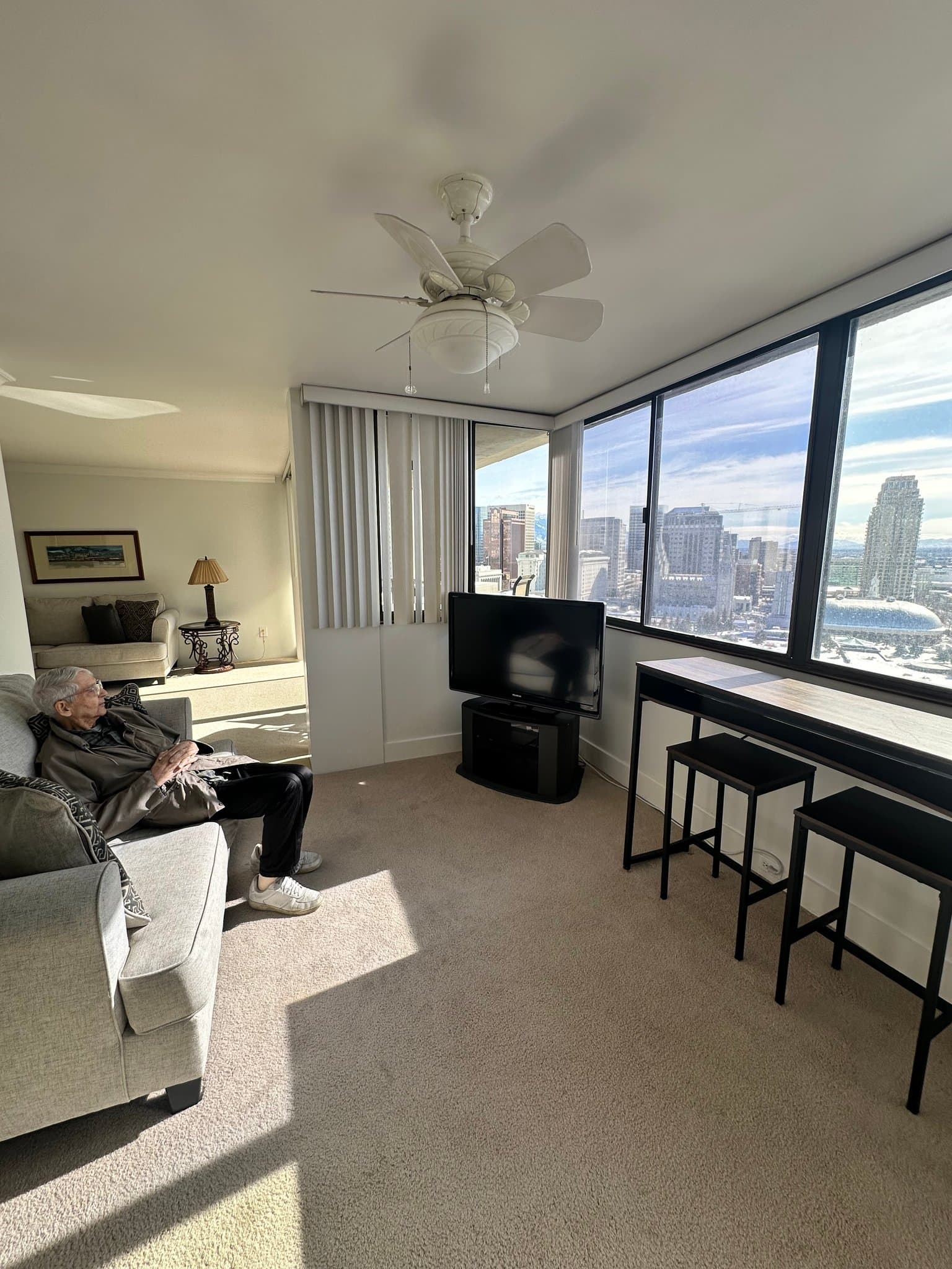 Salt Lake City Condo: 241 N Vine Street