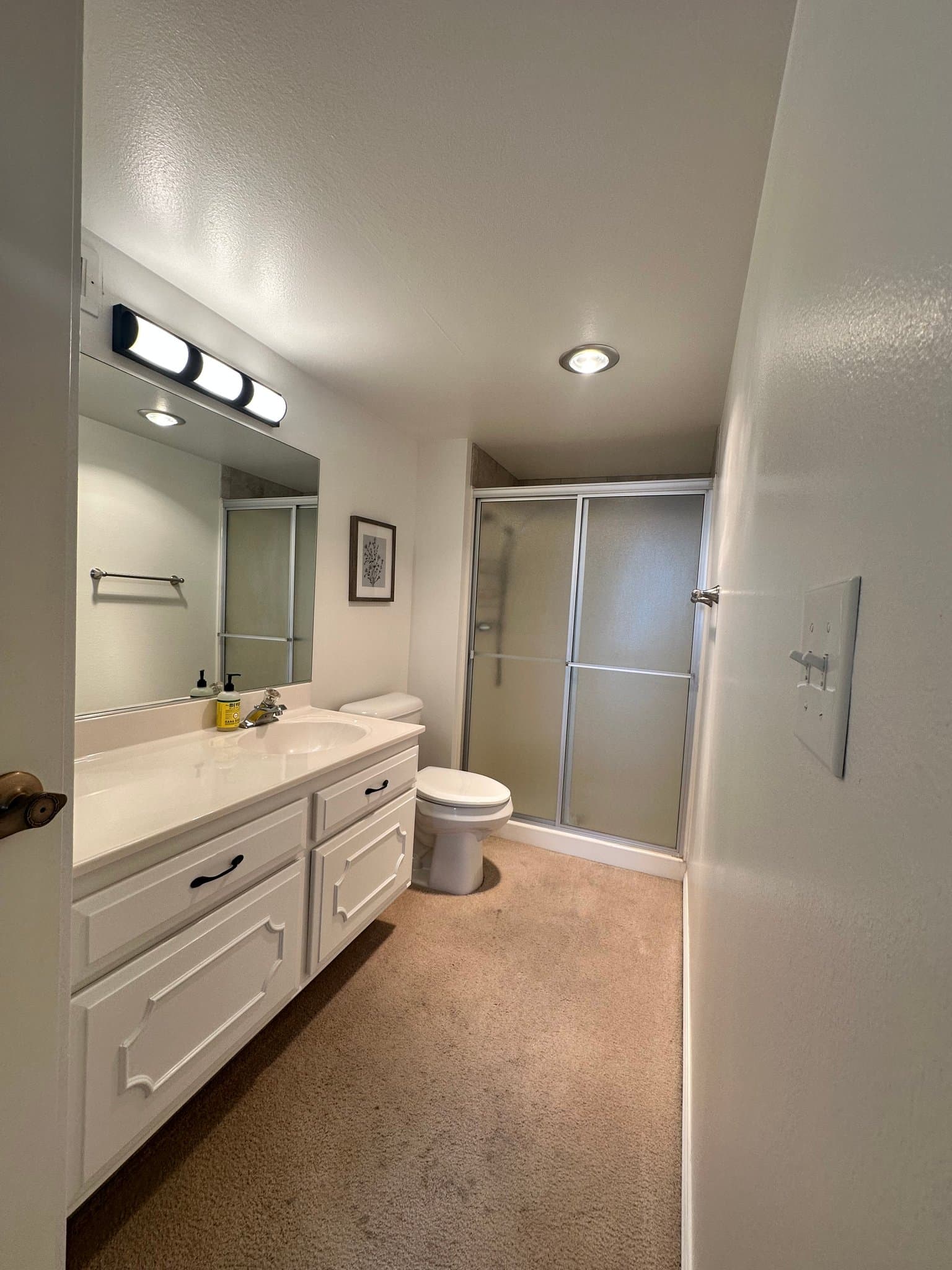 Salt Lake City Condo: 241 N Vine Street
