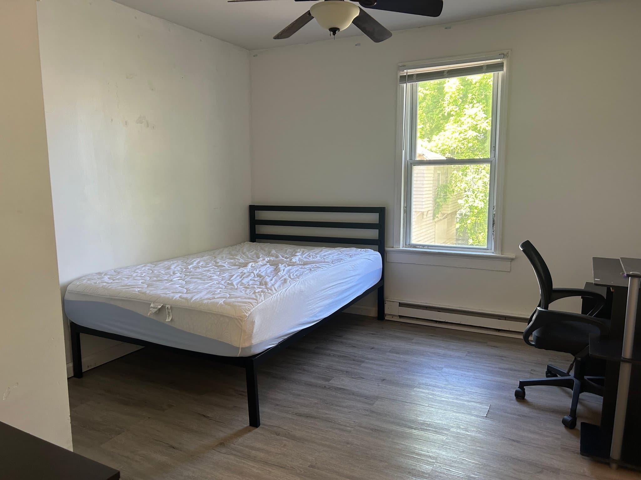Binghamton Apartment: 61 Walnut St
