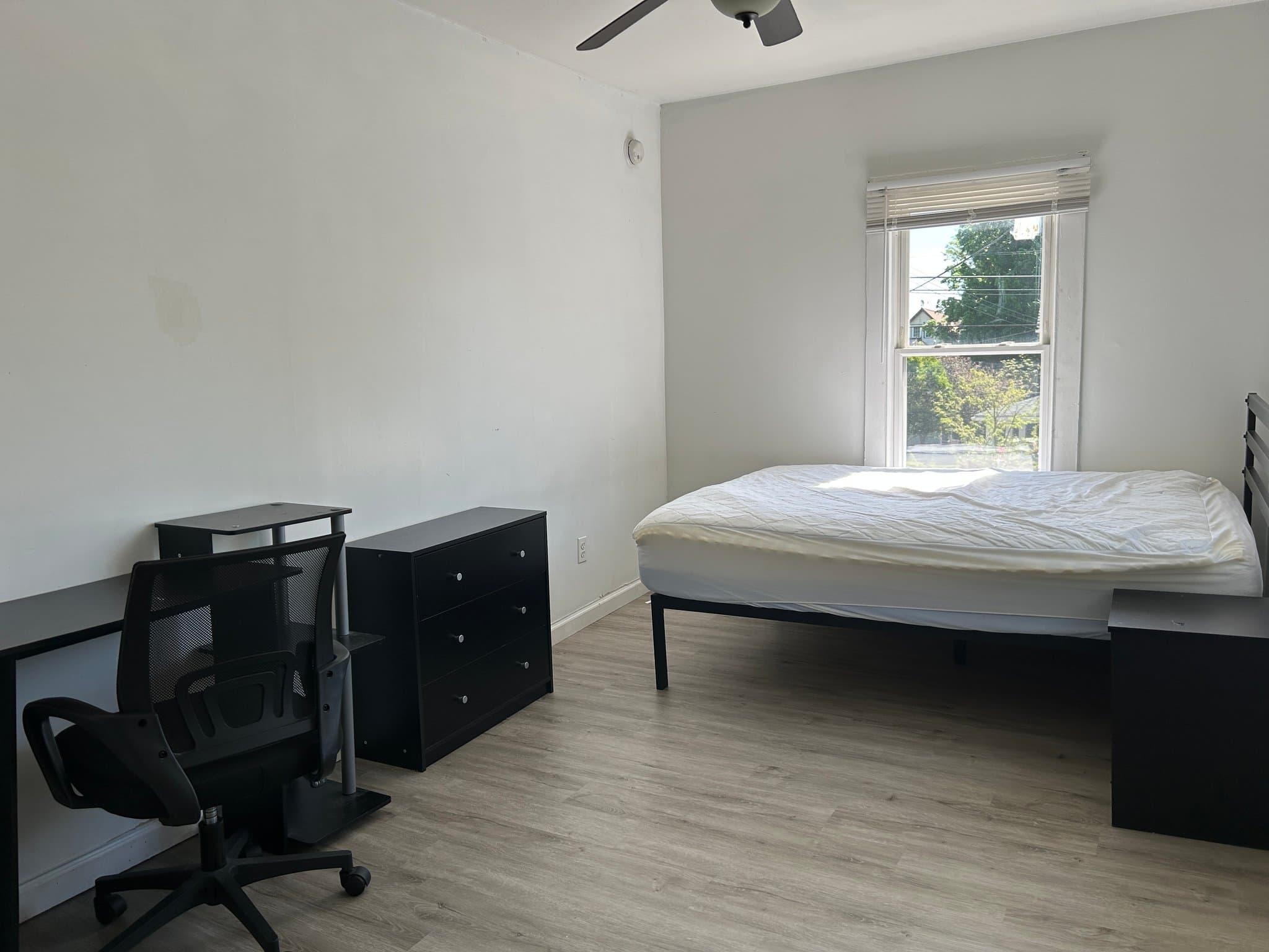Binghamton Apartment: 61 Walnut St
