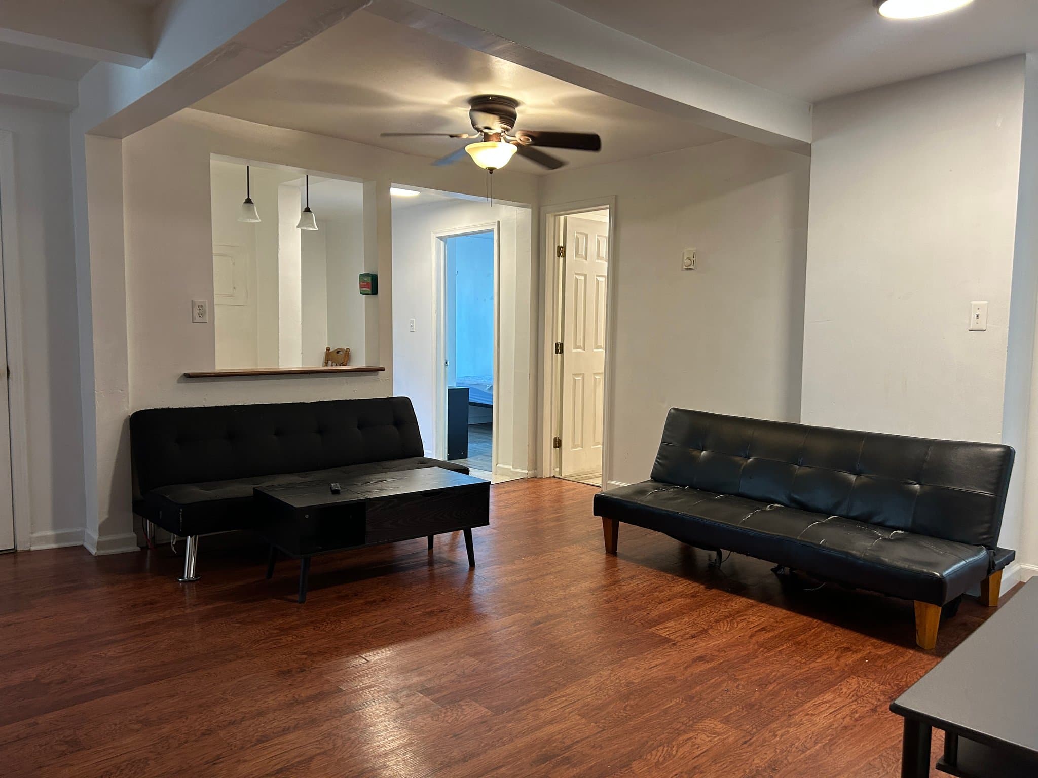 Binghamton Apartment: 61 Walnut St