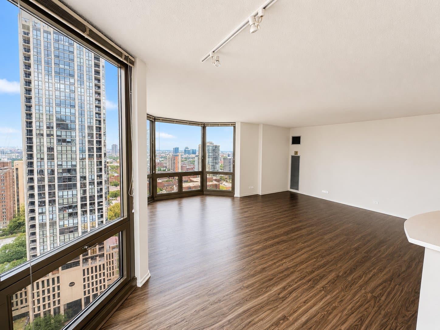Chicago Condo: 1122 N Dearborn Street