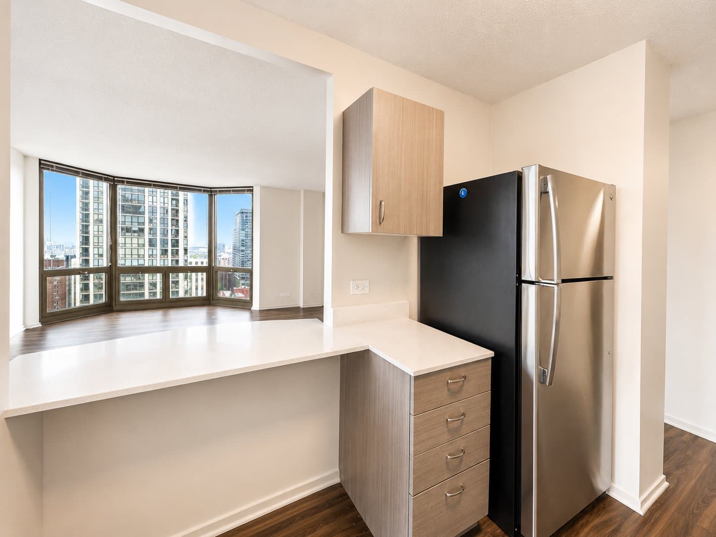 Chicago Condo: 1122 N Dearborn Street