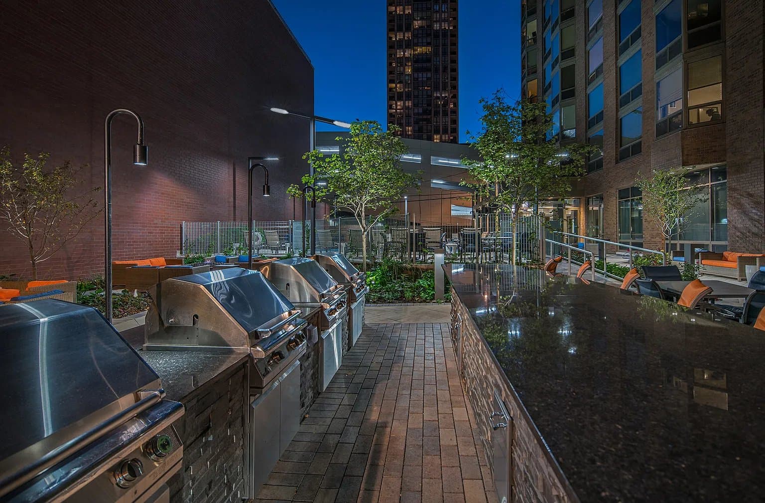 Chicago Condo: 1122 N Dearborn Street