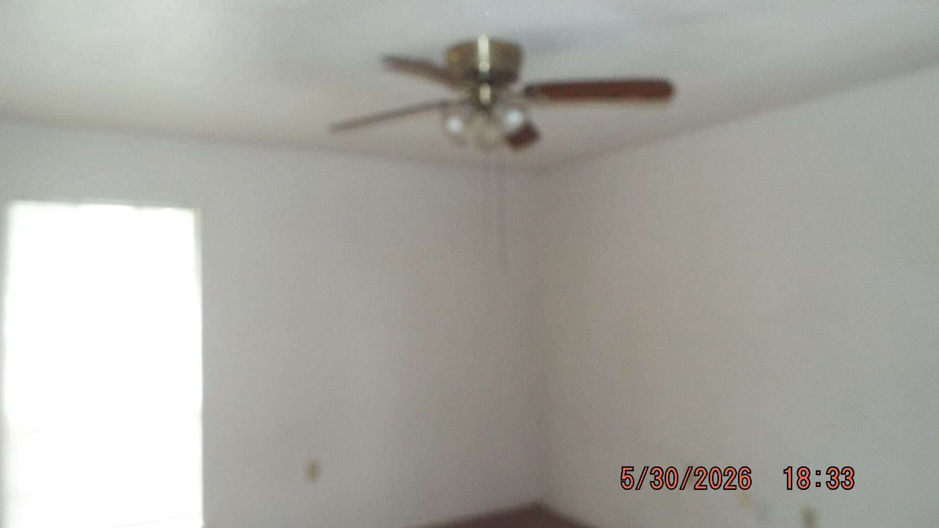 Live Oak House: 7810 Lazy Forest