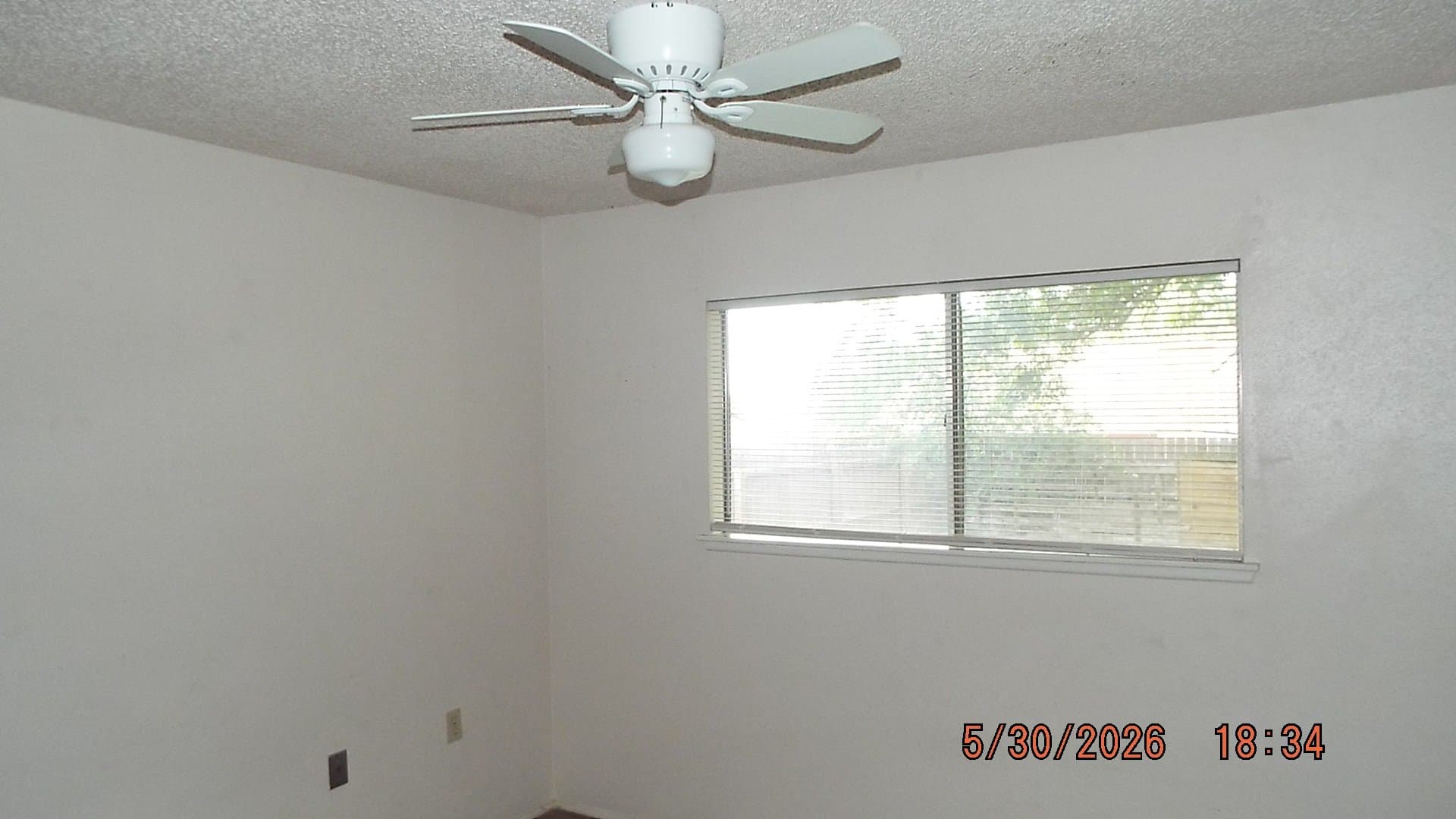 Live Oak House: 7810 Lazy Forest