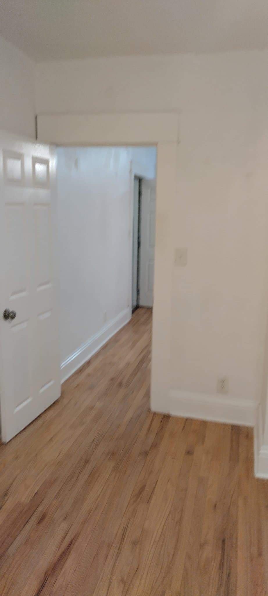 St.Augustine Apartment: 260 St. George St. Apt 2