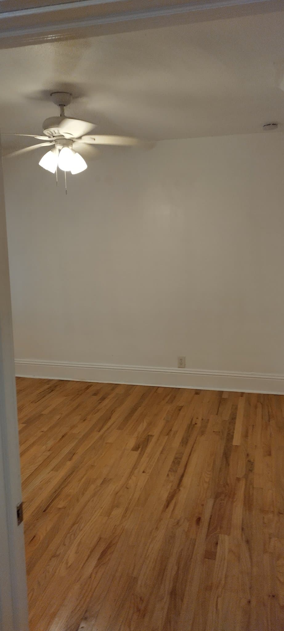 St.Augustine Apartment: 260 St. George St. Apt 2