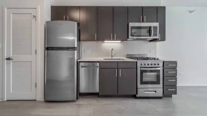 Chicago Condo: 729 N Wells St
