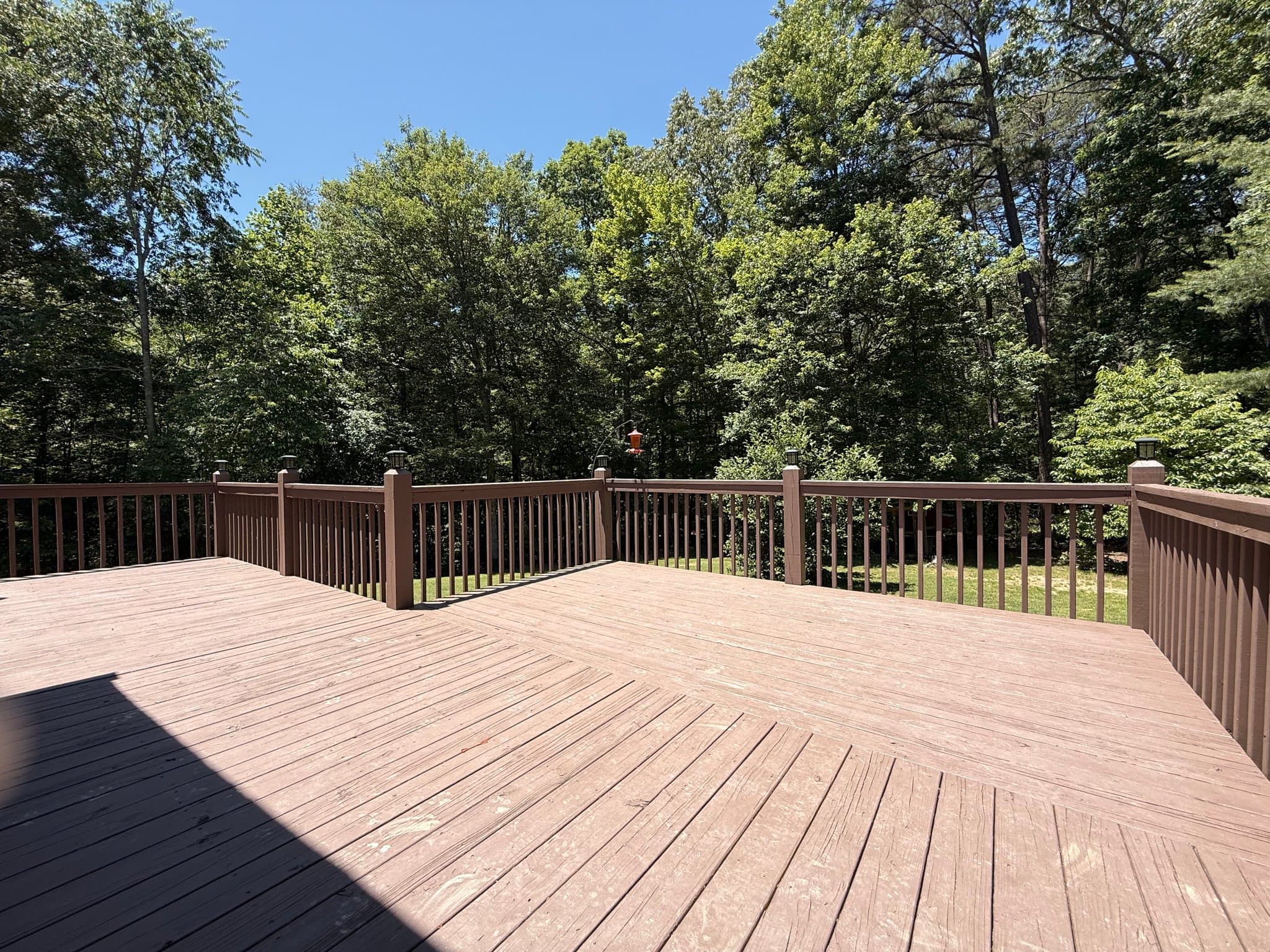 Mineral Bluff House: 303 Pine Lane