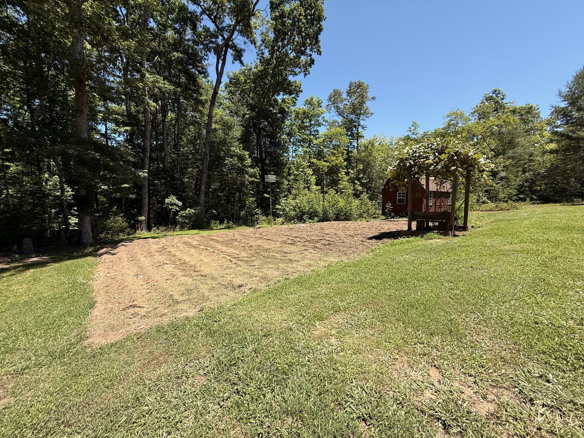Mineral Bluff House: 303 Pine Lane