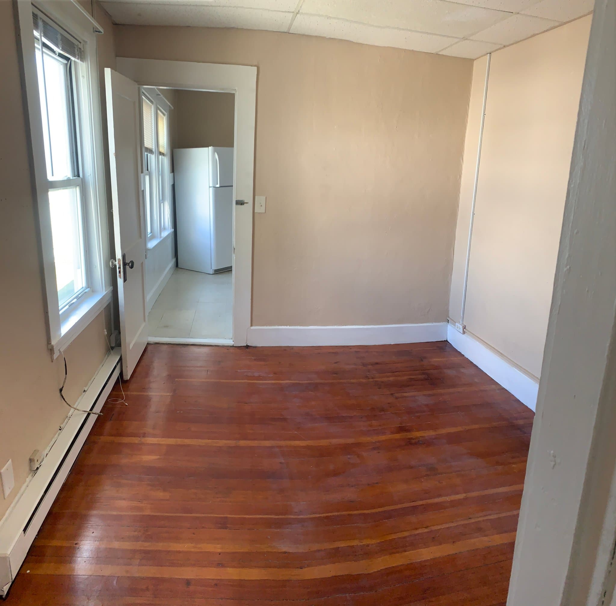 Webster Apartment: 3 Negus St