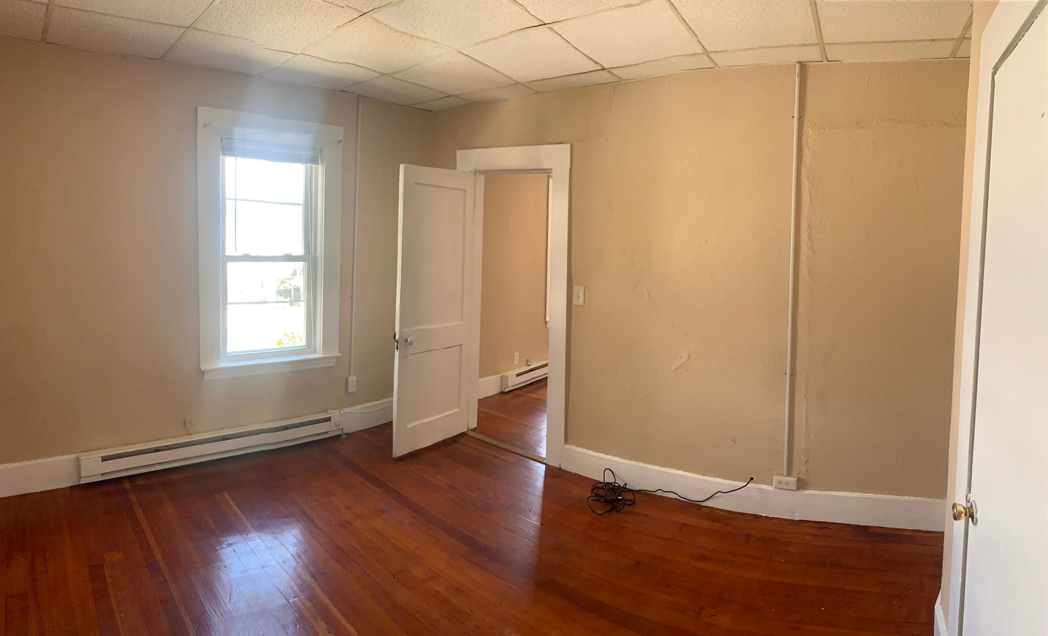 Webster Apartment: 3 Negus St