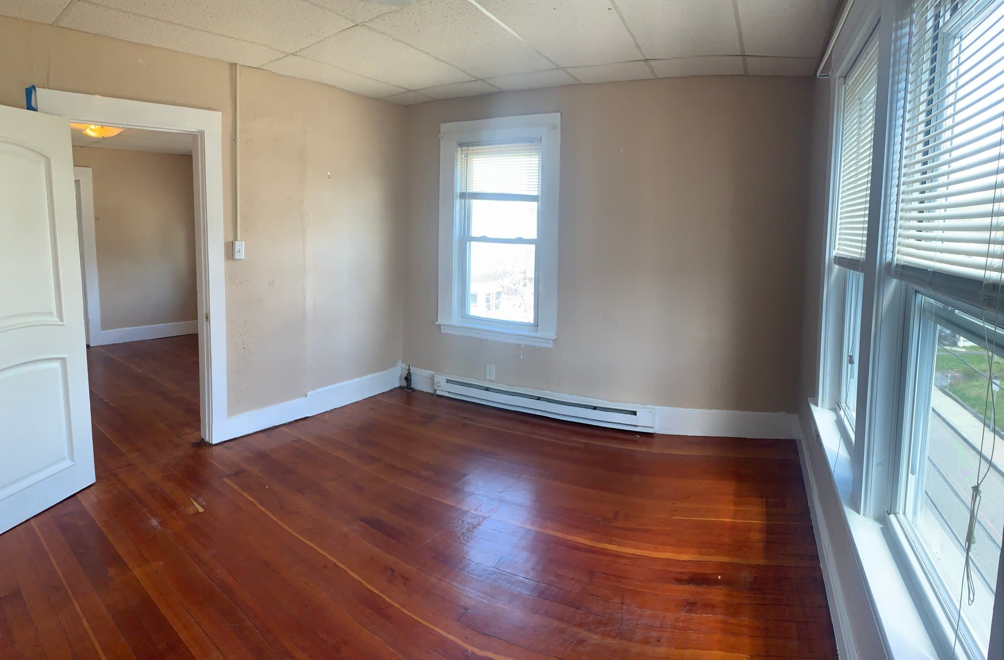 Webster Apartment: 3 Negus St