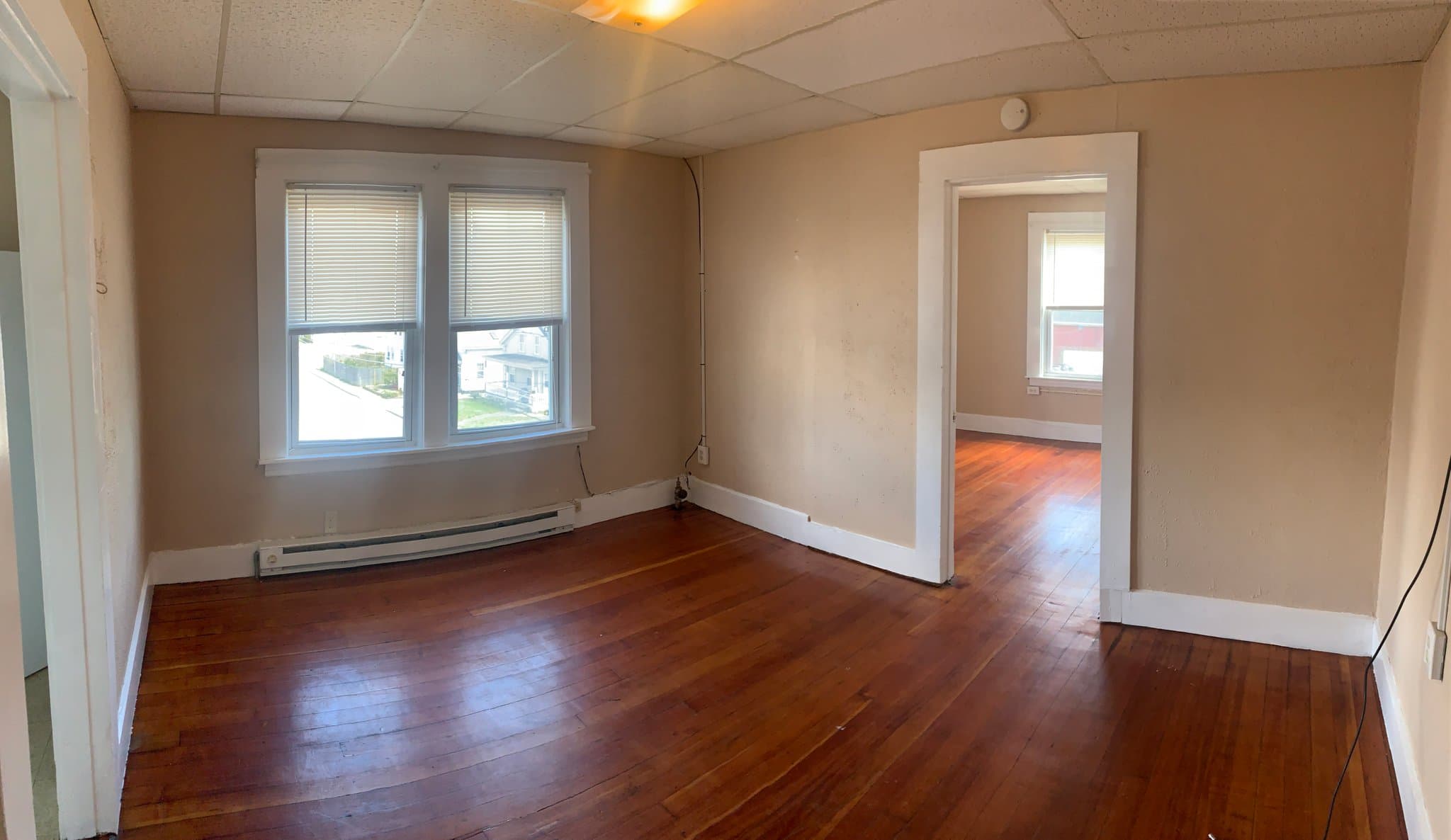 Webster Apartment: 3 Negus St