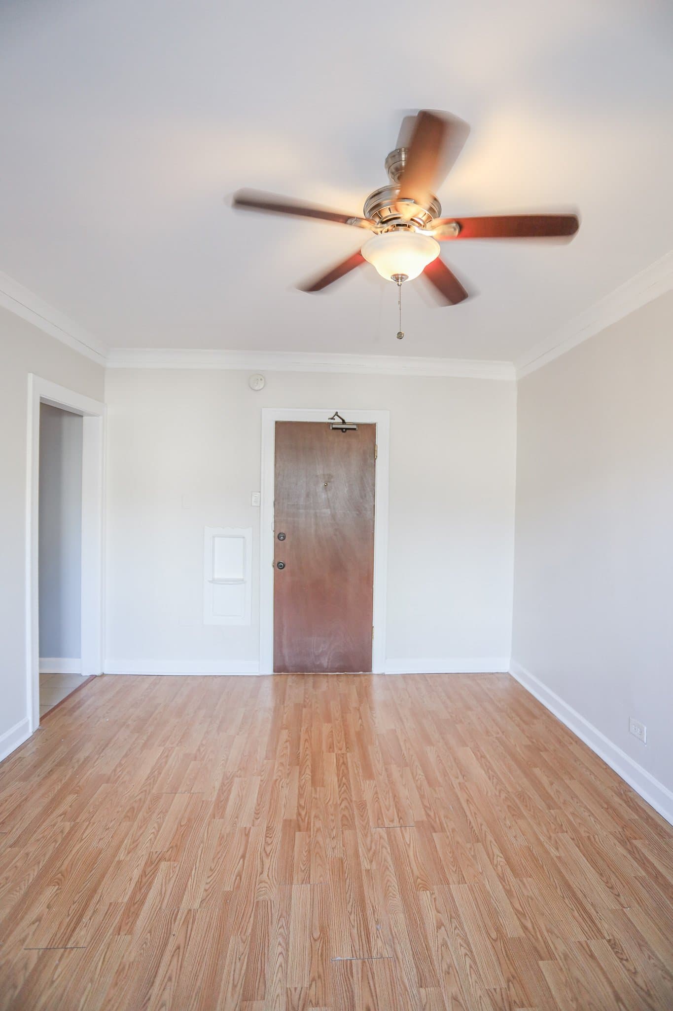 Chicago Apartment: 922 Eastwood