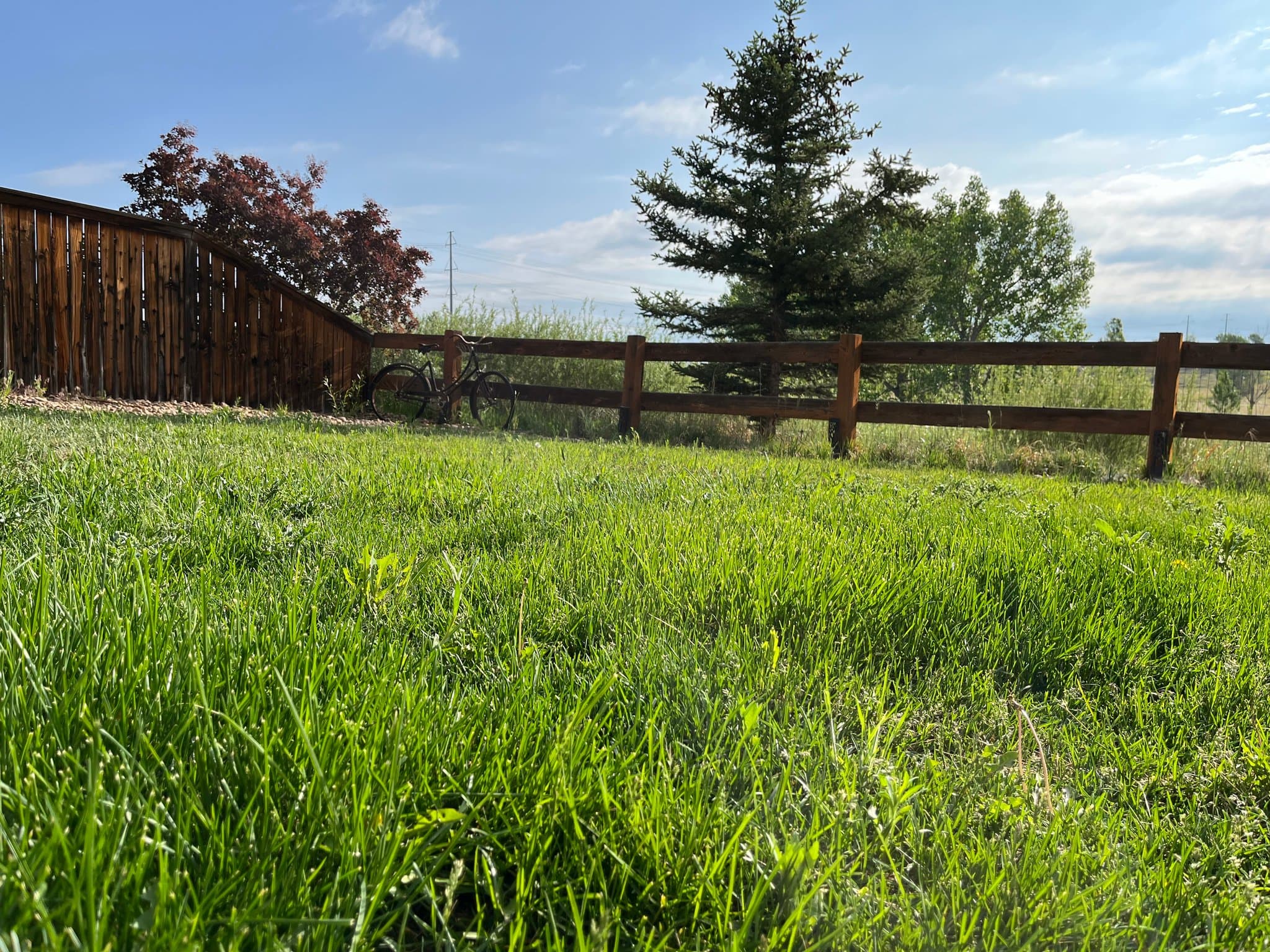 Aurora Single Room: 4822 S. Fultondale Way