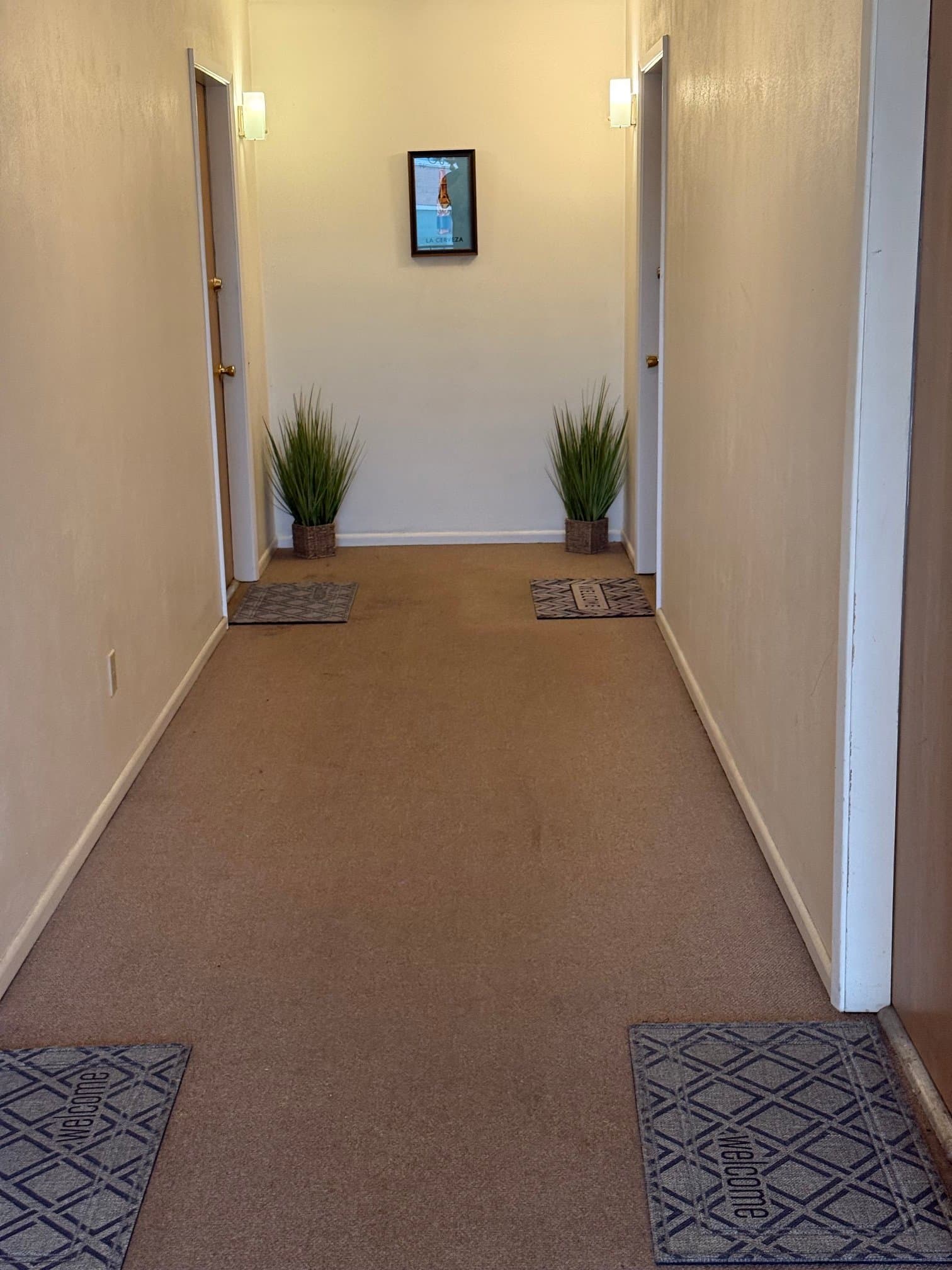 St. Louis Apartment: 5401 Eichelberger 2D