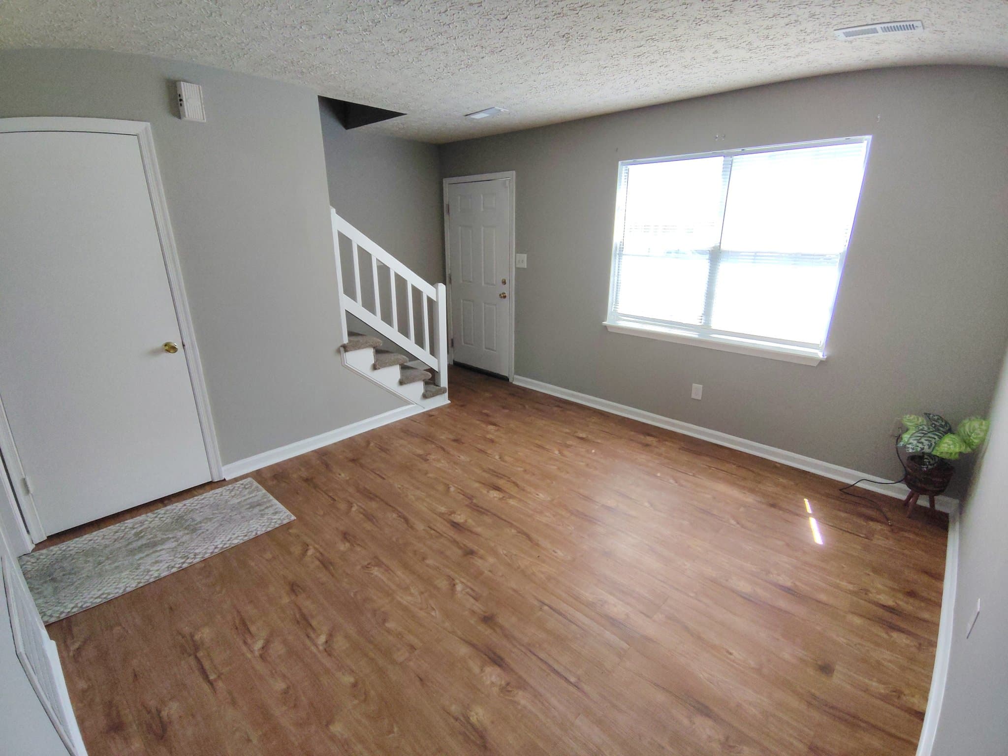 Lynchburg Townhome: 57 Ferguson Dr