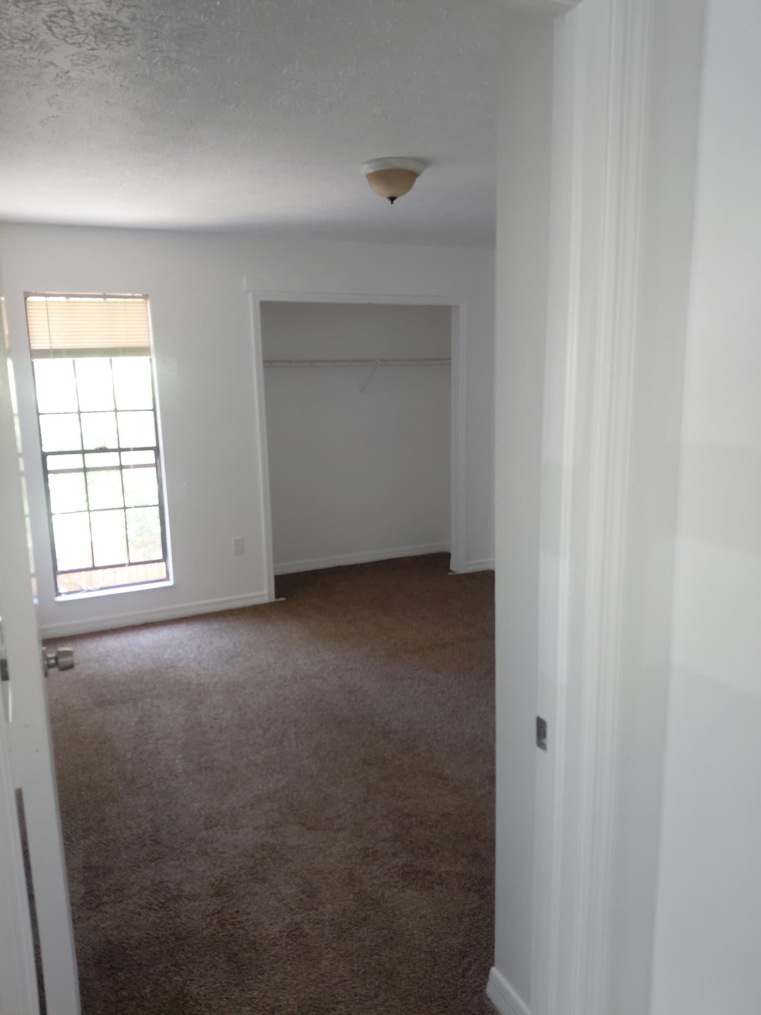 New Port Richey Apartment: 6436 Pennsylvania Ave. Apt 8