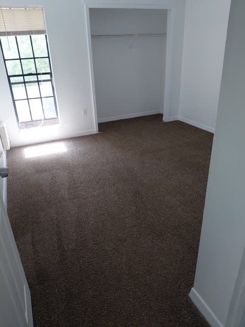 New Port Richey Apartment: 6436 Pennsylvania Ave. Apt 8
