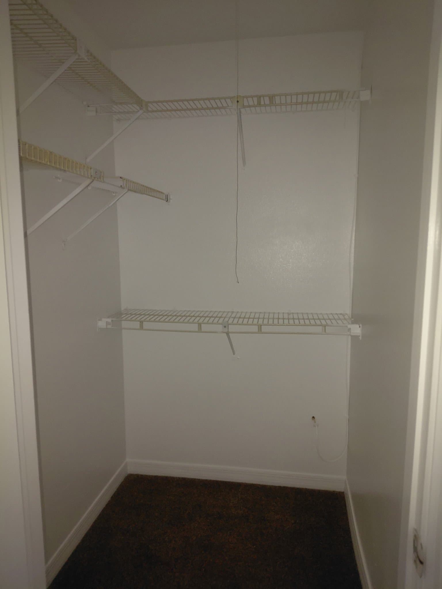 New Port Richey Apartment: 6436 Pennsylvania Ave. Apt 8