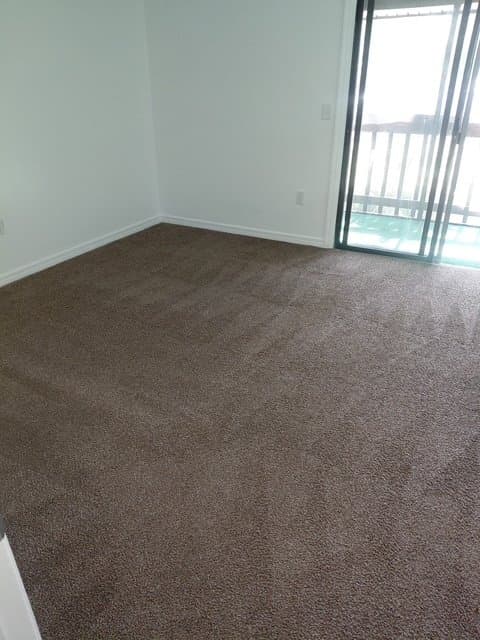New Port Richey Apartment: 6436 Pennsylvania Ave. Apt 8