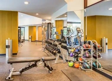 Chicago Condo: 740 N Dearborn St