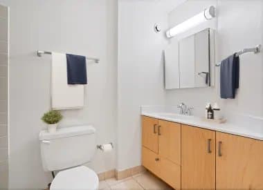 Chicago Condo: 740 N Dearborn St