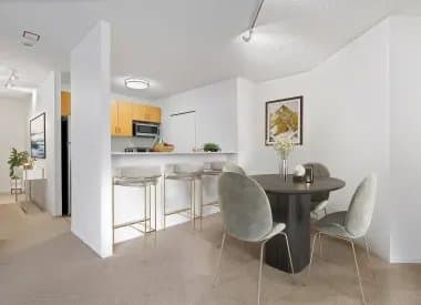 Chicago Condo: 740 N Dearborn St