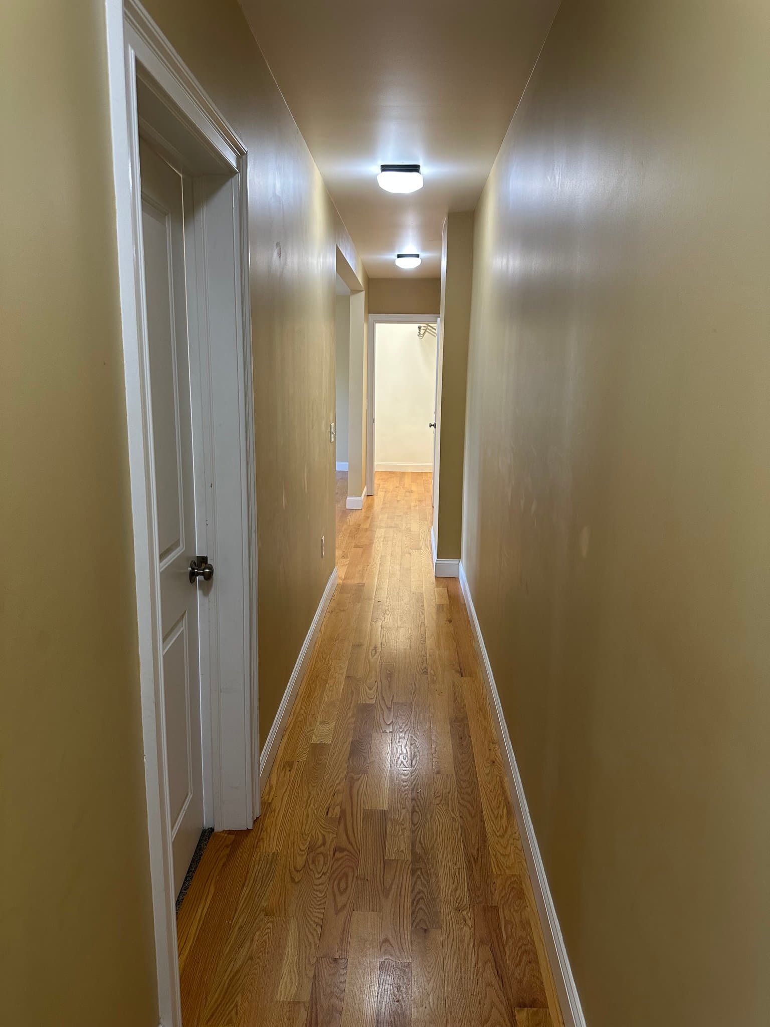 Liverpool Apartment: 902 Tulip Street
