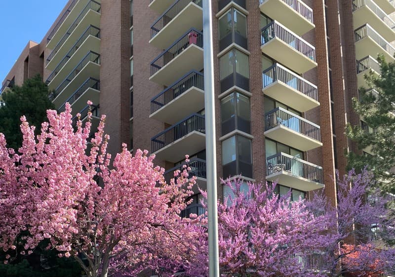 Salt Lake City Condo: 123 E 2nd Ave